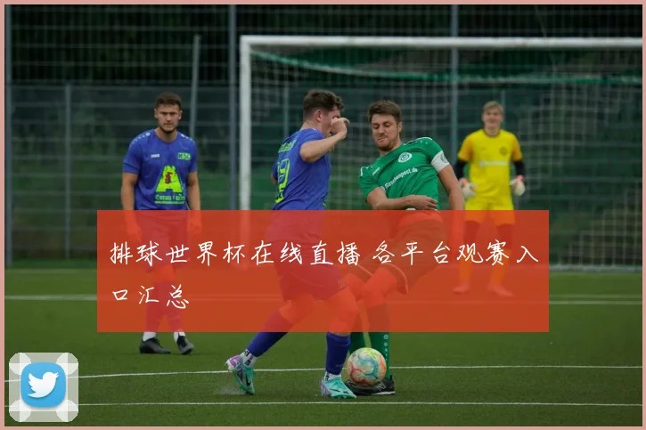 排球世界杯在线直播 各平台观赛入口汇总