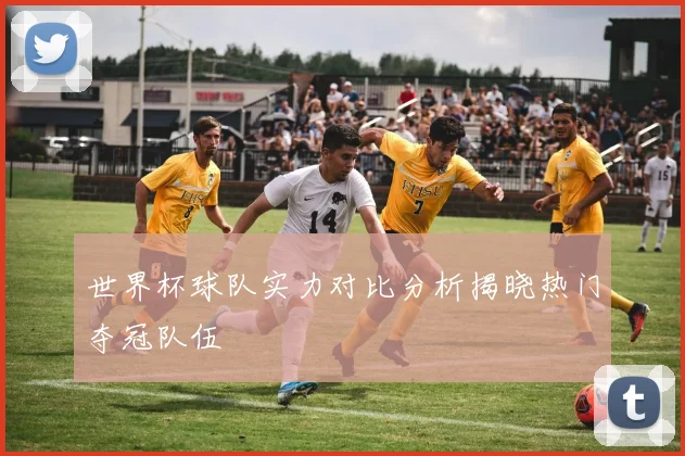 世界杯球队实力对比分析揭晓热门夺冠队伍