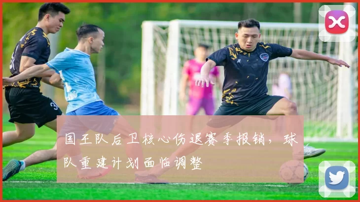 国王队后卫核心伤退赛季报销,球队重建计划面临调整