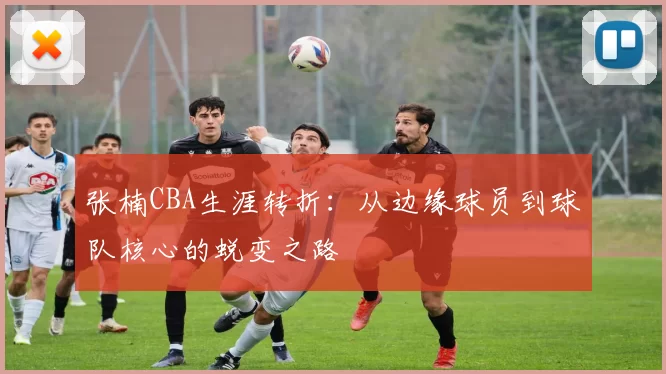 张楠CBA生涯转折:从边缘球员到球队核心的蜕变之路