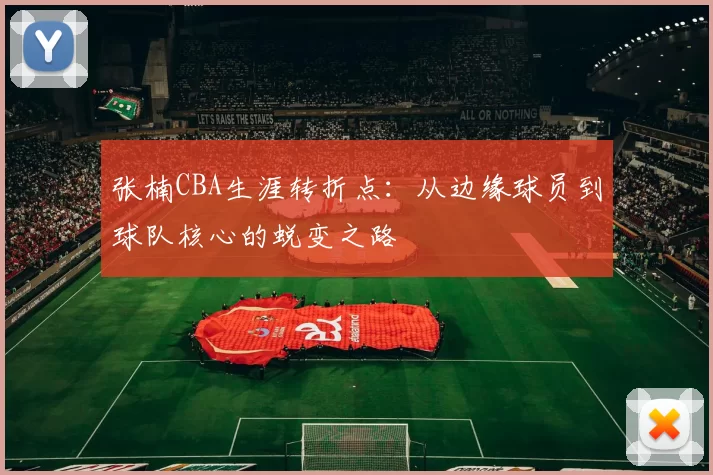 张楠CBA生涯转折点：从边缘球员到球队核心的蜕变之路