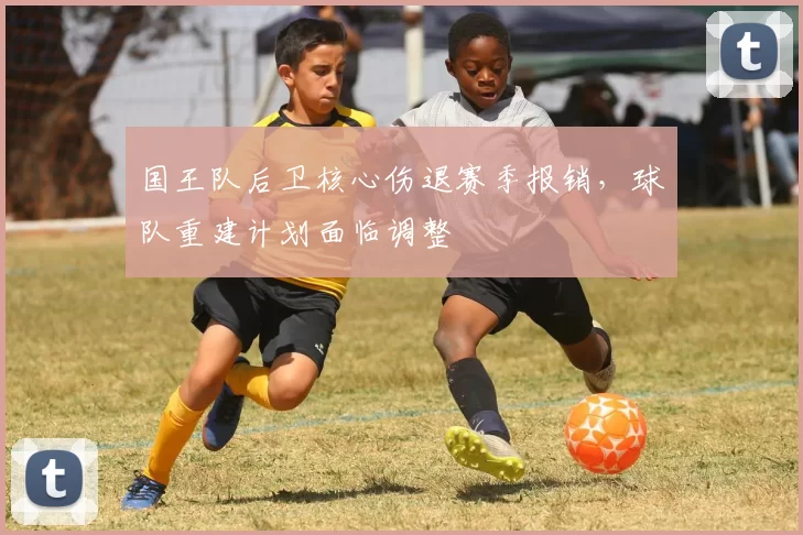 国王队后卫核心伤退赛季报销,球队重建计划面临调整