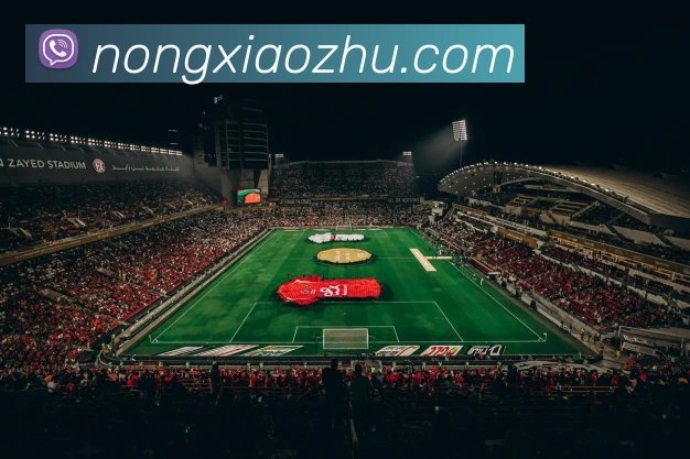 App 展示图