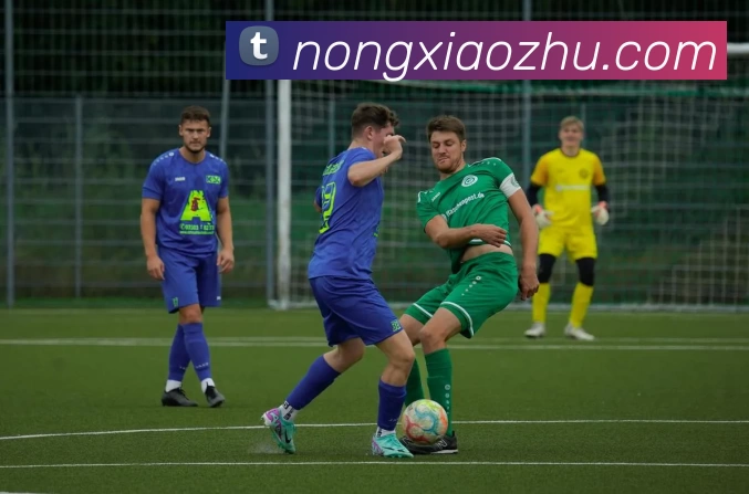 多媒体互动体验